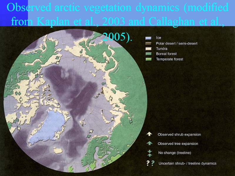 Observed arctic vegetation dynamics (modified from Kaplan et al., 2003 and Callaghan et al.,